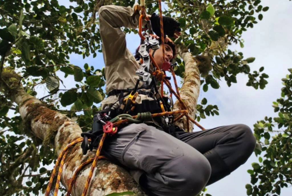 Números Asociados y Servicios