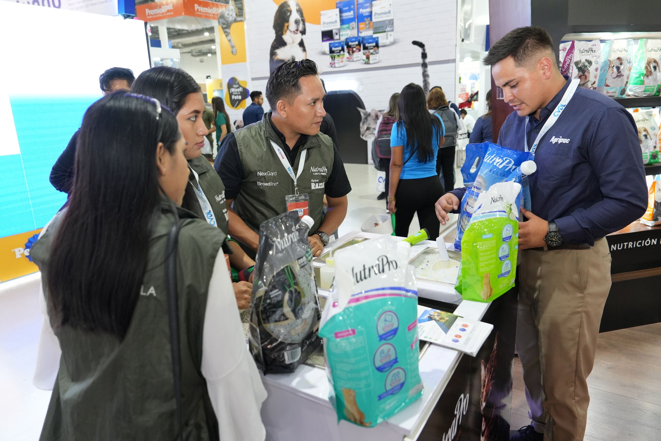 Números Asociados y Servicios