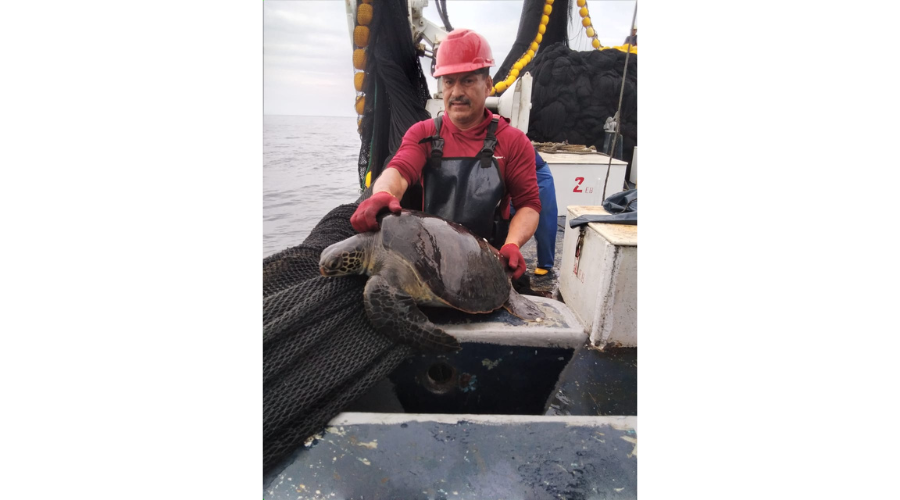 Números Asociados y Servicios