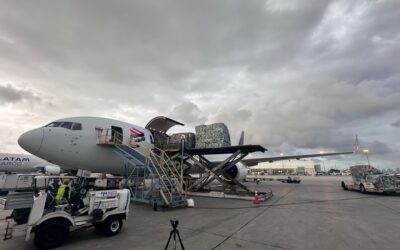 Latam: lidera la exportación de flores desde Sudamérica con más de 24.000 toneladas de flores transportadas por el Día de la Madre