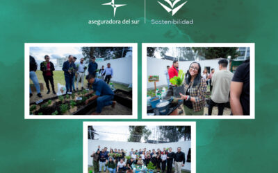 Aseguradora del Sur, siembra semillas para el cambio