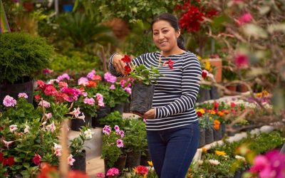 Banco ProCredit: Greenwashing y su Impacto en las Iniciativas ASG