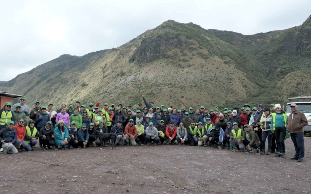 Colaboradores de Produbanco Recolectaron 2.5 Toneladas de Basura y Trabajaron en Jornadas de Reforestación y Limpieza en Cinco Ciudades del País