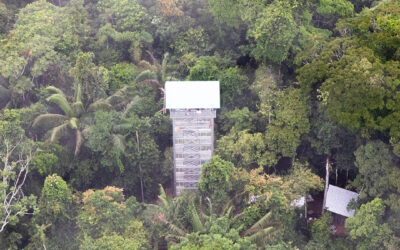 ¡Napo Wildlife Center Tienen Nueva Torre de Observación! 