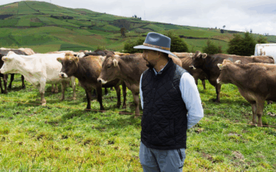 Comprometido con el Planeta: Arca Continental Ecuador Impulsa Acciones Frente al Cambio Climático